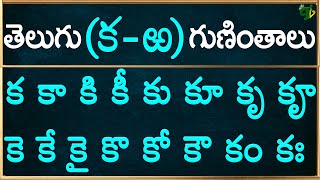 గుణింతాలు క  ఱ Telugu Guninthalu all from Ka to Rra  Telugu Varnamala Guninthalu 2024 updated [upl. by Amandi]