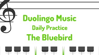 The Bluebird  Duolingo Music [upl. by Couchman282]