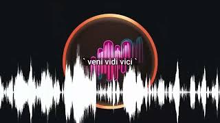 quot veni vidi vici quot [upl. by Onaicilef]