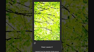 003585  Green Leaves VI [upl. by Toolis]