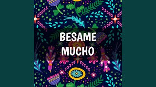 Besame Mucho [upl. by Telfore]