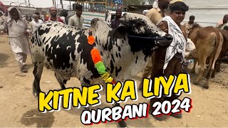 Live deal  Kitne Ka liya qurbani Ka Janwar  qurbani 2024 Shahpur kanjra Mandi [upl. by Bromley770]