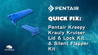 Pentair Kreepy Krauly Kruiser Lid amp LockSilent Flapper  Quick Fix [upl. by Heinrik697]