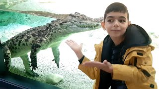 🐊 Baku Aquarium 🐠🐢 Zoopark 2021 II Part 🐍🐟 [upl. by Maltzman]