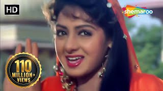 Mere Dil Ki Galiyon HD  Banjaran Songs  Rishi Kapoor  Sridevi  Alka Yagnik  Suresh Wadkar [upl. by Norved151]