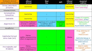 Hormonal amp Autacoid control of Renal Circulation Chapter 27 part 5 Guyton and Hall Physiology [upl. by Etnelav932]