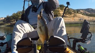 Finding and catching late summer bass ￼￼ [upl. by Enrobyalc82]