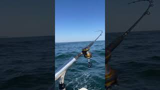 Striped bass fishing off New Jersey shore bassfishing [upl. by Eniamsaj]