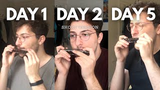 5 Days Harmonica Progress shorts [upl. by Lias]