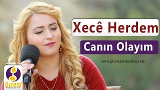 Xecê Herdem Canın Olayım Akustik [upl. by Notirb711]