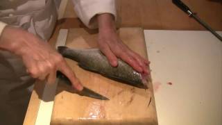 How to scale gut and fillet a fish [upl. by Etana]