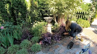 Freshening Up a Perennial Bed amp Planting Lots of Veronica 🌿💗🌿  Garden Answer [upl. by Ortiz302]