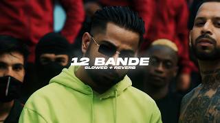 12 Bande Slowed  Reverb  Varinder Brar  BARATO NATION [upl. by Aimat]