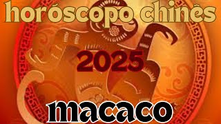 Horóscopo Chinês 2025  Macaco [upl. by Ammann]