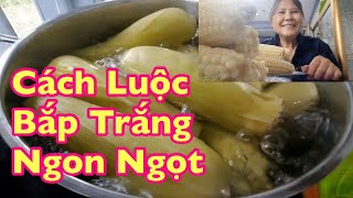 Cách Luộc Bắp Sao Cho Ngon NgọtBà Phạm ÚT [upl. by Smitty]