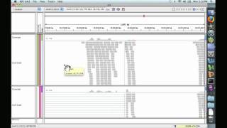 Analyzing Public Datasets 7 An Introduction to IGV genomic [upl. by Nyllij]