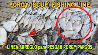 Linea lider para pescar PORGY PARGOS SCUP pescado carnada para porgy pargos mojarras de mar [upl. by Nester]