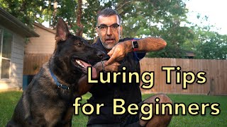 Luring Tips For Beginners [upl. by Akenat]