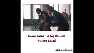 A Dog Named Palma Movie Explained Part 8 [upl. by Kandy]