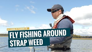 Quick Tips When Fly Fishing In And Around StrapRibbon Weed  Fly Fishing Tasmania [upl. by Htebasile]