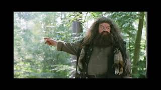 Harry Potter Why Is Hagrid Banned From Performing Magic Explained [upl. by Kakalina666]