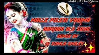 MALLE PULERI VADIMA BANJARA OLD SONG TABALA REMIX DJ SOMLA SMILEYbanjaradj banjaralovestatus [upl. by Ahsiyn37]