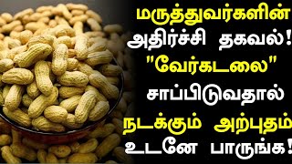 வேர்கடலை மருத்துவ நன்மைகள் Peanut Health Benefits in Tamil Health Tips in TamilPeanut Tamil News [upl. by Zehcnas]