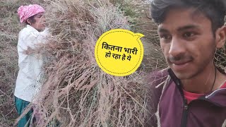 गलत समय पर आ गया मैं घर 🤭😁 कितनी आफत है 😑  dhirurawat  phadilifestylevlog dialyvlogs [upl. by Editha311]