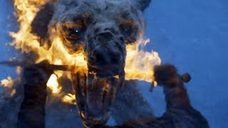 Game of Thrones 20112019 Bear Wight ScreenTime [upl. by Mcnutt]