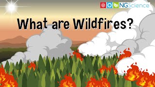 What are Wildfires [upl. by Ahsenahs]