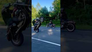 17 Sportster 1200 XL Custom WHEELIE with FORWARD CONTROLS🫣subscribe 2024 stunt fyp short [upl. by Haukom]