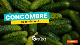 Concombre ou cornichon [upl. by Doownyl]