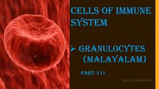 CELLS OF IMMUNE SYSTEM GRANULOCYTES Part lll Malayalam [upl. by Aicxela]