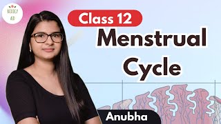 Class 12 Menstrual Cycle under 5 mins [upl. by Grethel697]