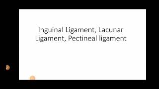 Inguinal Pouparts Ligament Lacunar Gimbernats Pectineal or Ligament of Cooper by Dr Jessie James [upl. by Lytsirk]