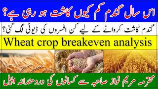 Wheat crop breakeven analysis profit and loss statement of wheat cropگندم کاشت کی آمدن و اخراجات [upl. by Batchelor]