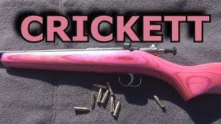 A GREAT CHOICE FOR YOUR CHILDS FIRST RIFLE  THE CRICKETT [upl. by Atnwahs903]