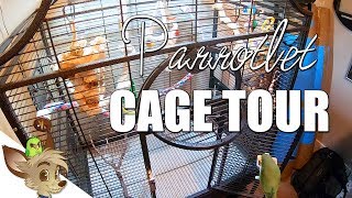 Parrotlet Cage Tour [upl. by Mayman]