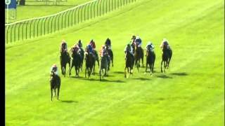 QIPCO 2000 Guineas Newmarket 2011 [upl. by Biernat]