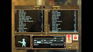 Lets play Fallout New Vegas Willow A Better Companion Experience PART6 [upl. by Vaughan]