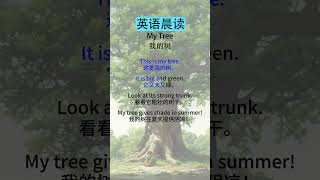 英语听力故事：初级到中级的趣味学习 My Tree（我的树） [upl. by Eirot]