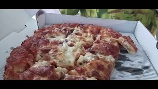 reviewing Royal pizza [upl. by Husein]