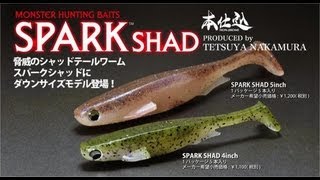 Megabass HONJIKOMI SPARK SHAD with ICM TATEYAMA FISHING CENTERHD [upl. by Beore905]