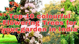 Top 10 colourful Flowering Trees for your garden in India [upl. by Smart]