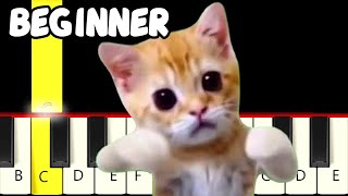 Chinese Bath Cat Song Meme  Fast and Slow Easy Piano Tutorial  Beginner [upl. by Minnnie]