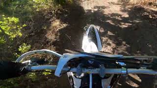 RIPPING THROUGH RUBEN HOLLOW YZ450F VS YZ250F [upl. by Nairim]