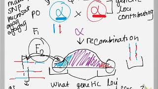 QTl and GWAS [upl. by Oned]