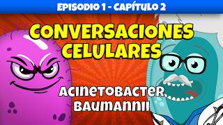 Acinetobacter baumannii Un Enemigo Astuto  Conversaciones Celulares  Ep 1 Cap 2 medicina [upl. by Deering]