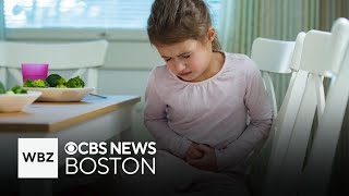 Stomach flu cases on the rise in the Boston area [upl. by Neeham]