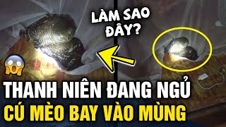 Đêm hôm đang ngủ bị cú mèo BAY VÀO MÙNG chàng trai ĐĂNG ĐÀN CẦU CỨU  Tin 3 Phút [upl. by Itin32]